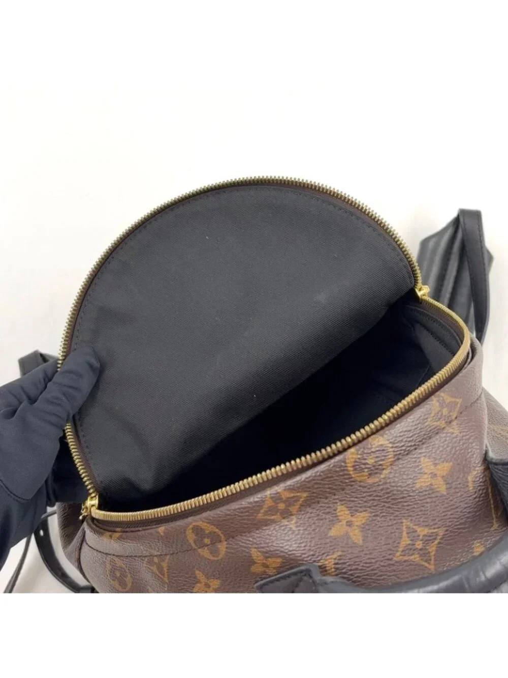 Louis Vuitton Palm Springs PM Monogram Leather